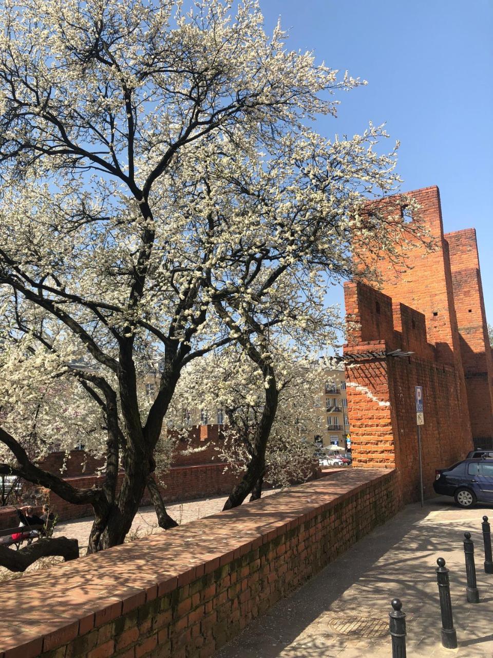 Designers Apartment In The Old Town 바르샤바 외부 사진